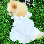 再販　犬服 フリル エプロンドレス ホワイト刺繍 犬ワンピース 犬キャミソール　ホワイトクリスマス