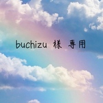 ꙳★*ﾟ buchizu 様 専用꙳★*ﾟ