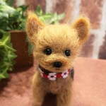 ヨークシャーテリア♡