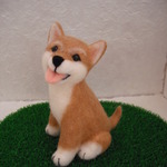 しば犬