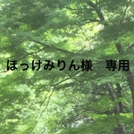 ほっけみりん様　専用
