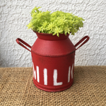 リメ缶(MILK赤)♫多肉♫植物♫オーダー受付中