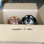 esuchi様専用です