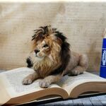 羊毛フェルト　ライオン　動物フィギュア