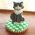 スタンディング　キャット