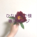 ひないちご様専用ページ