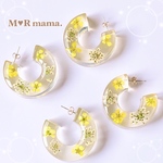 【再販2】大ぶり❥❥❥クリア×ドライフラワー✳︎フープ ピアス / イヤリング   𖥧𖤣. 𖡼 
