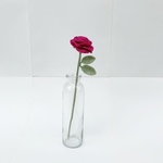 バラ (ピンク)🌹