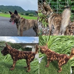 羊毛フェルト ハンドメイド オーダー品 愛犬さん 甲斐犬 犬 甲斐くん