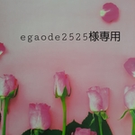 egaode2525様専用