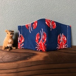 ロブスター大好き！ 子ども用立体マスク　(小学生向け) 男の子　女の子　おしゃれマスク　ザリガニ？