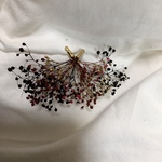 かすみ草ピアス