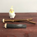 【よもぎ様オーダー】備長炭パーチ（M）＋蜜柑パーチ