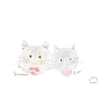 専用ページ