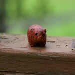 陶器製の小さなウォンバットの置物（Ceramic Figurine of a Tiny Wombat）