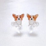No.647  パピヨンのピアス☆