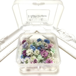 ＊Hydrangea＊かすみ草ドライフラワー