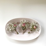 ✿ドライフラワー　かすみ草 &バラ　petit bouquet set✿