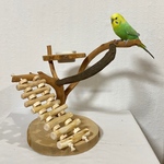 自然木の卓上ミニアスレチック【文鳥・セキセイインコ・オカメインコ・コザクラインコ】バードアスレチック・鳥とまり木