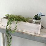 シャビーシック　ボックス