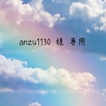 ꙳★*ﾟanzu1130様 専用꙳★*ﾟ