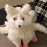 柔らかいお稲荷九尾さん