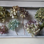 紫陽花壁掛け