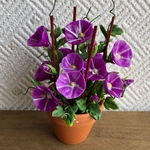 朝顔 粘土の花鉢  1  ミニチュア