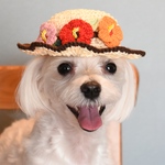 ハイビスカスの麦わら帽子