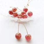 ♡再販×3♡ボタニカルミニさくらんぼピアス／イヤリング