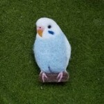 ♡羊毛フェルト　インコさんブローチ♡