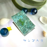 海のかけら（サンゴ入り）