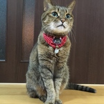 ももかん様専用オーダー