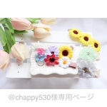 @chappy530様専用ページ