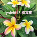 yoichi15 様オーダー専用