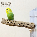 鳥 とまり木 カクタスパーチ（サボテンのとまり木）文鳥・セキセイインコ・アキクサインコ・ボタンインコ・コザクラインコ