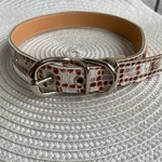 犬用首輪　本革　送料無料　アウトレット