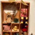 y様ご予約品  オーダーアイテム♪うちの子ちゃんBOX
