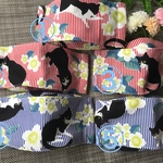 またたびの花と猫　赤ストライプ　