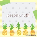 peacekun3様