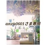 ☆anzu0601さま専用☆ネオブライス☆ふんわりトップスとファー付きパンツのセットアップ