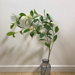フェイクグリーン 人工観葉植物　月桂樹の枝 68cm 枝　葉　1本