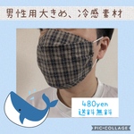 【送料無料】夏用！３Ｄ立体設計マスク 男性用