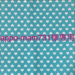 appo-mam731様専用♪
