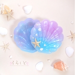 人魚の宝箱  ୨୧ 小物入れ