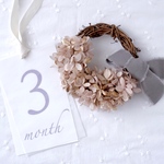 dryflower wreath tiny  あじさいピンクベージュ　ドライフラワーリース　ハーフリース　ミニ