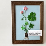 植物図鑑シリーズ（ムラサキカタバミ）ペーパークイリング