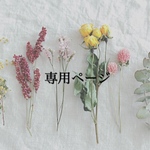 専用ページ 𓂃 𓆸 ⡱