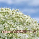 tokoro10様専用ページ