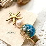 SALE⭐︎海のヘアクリップ